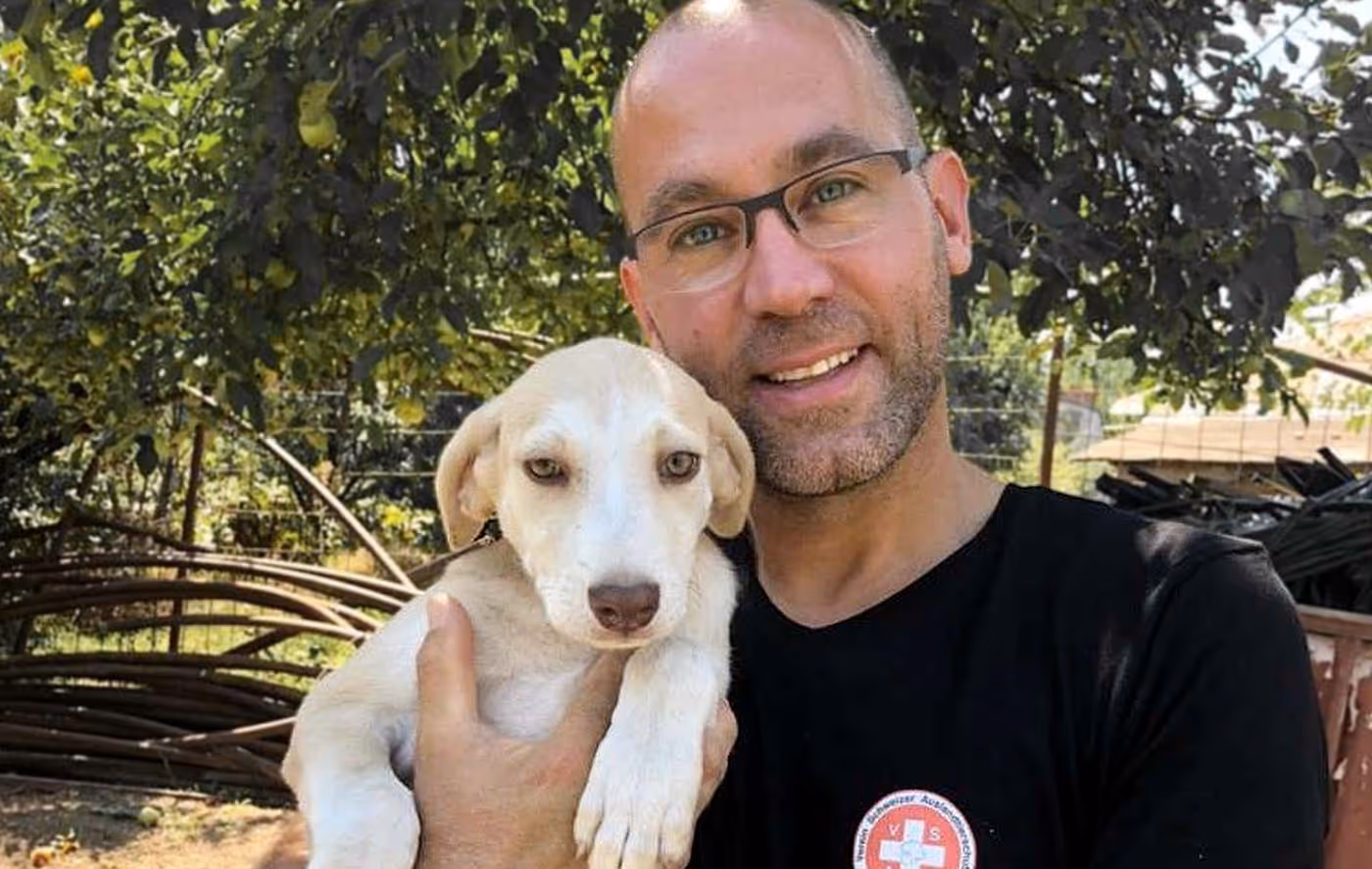 Als Pro-bono-Projekt hat Namo die Webseite des Schweizer Auslandtierschutzes erneuert.