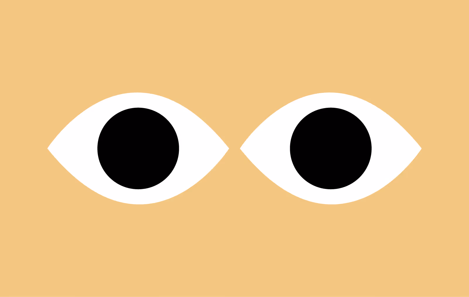 Namo Know-how - Spannende und informative Kurzbeiträge zu Branding & Webdesign