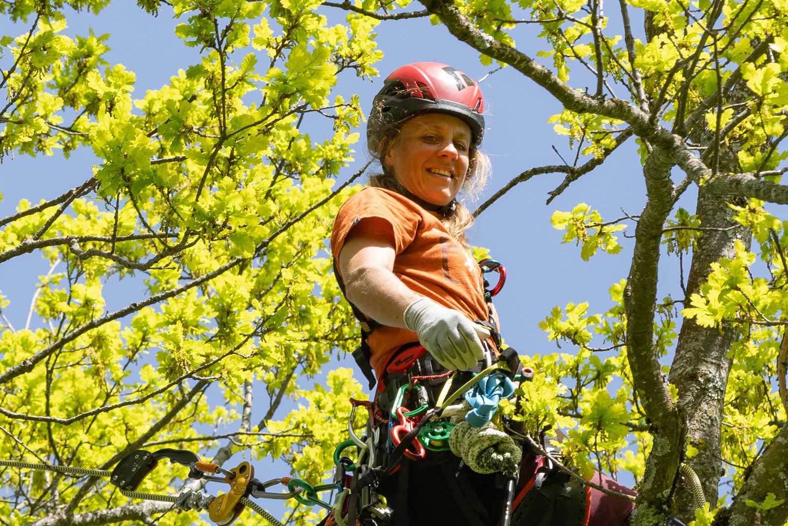 Webauftritt für diie Manufaktur am Baum