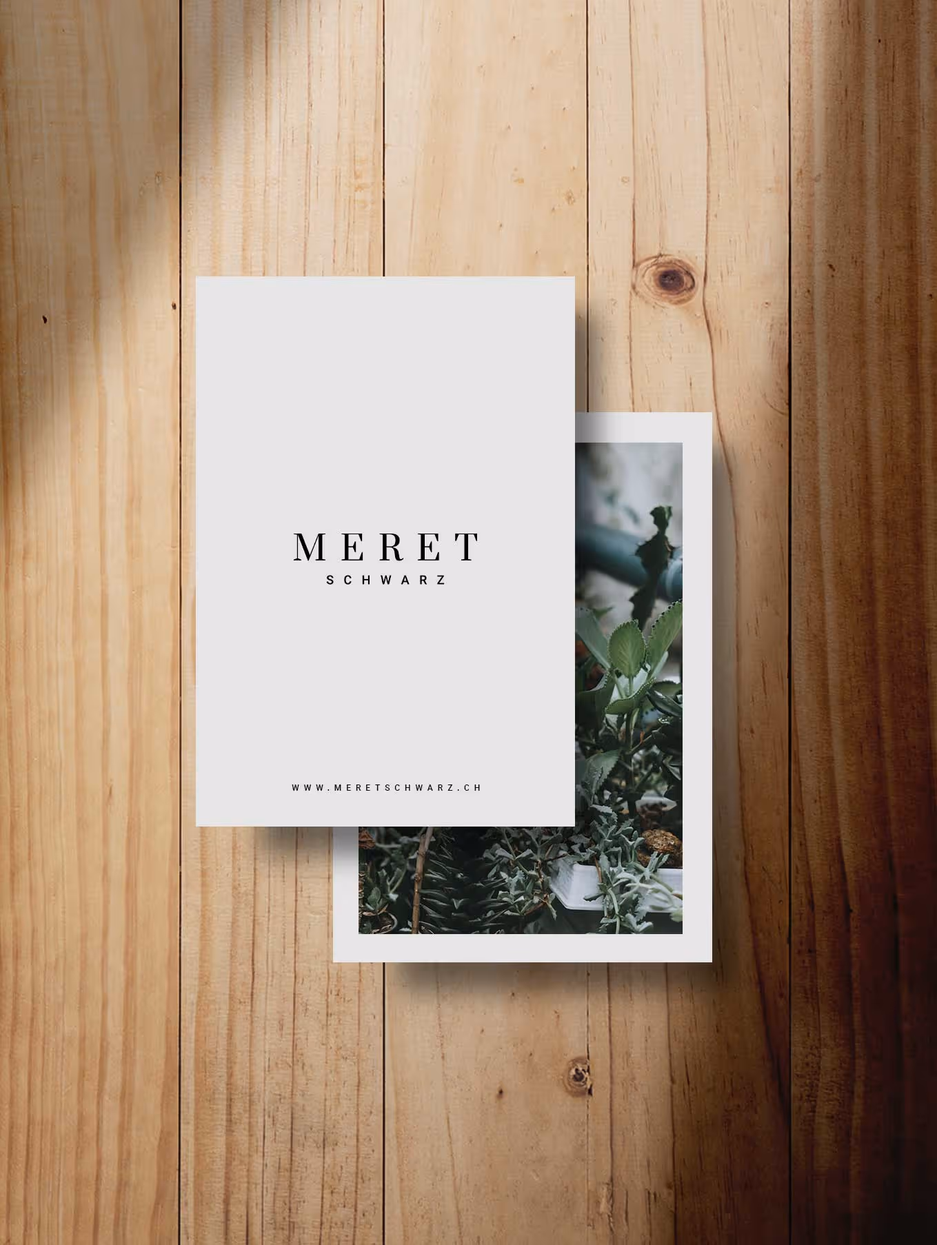 Branding & Fotografie für eine Gärtnerei