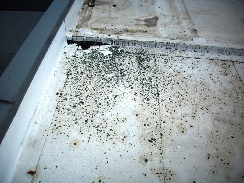 Can I Restore My TPO Roof? | Your Answer To These 6 Questions Will Determine If Your Roof Is A Good Candidate For A Liquid Applied Restoration