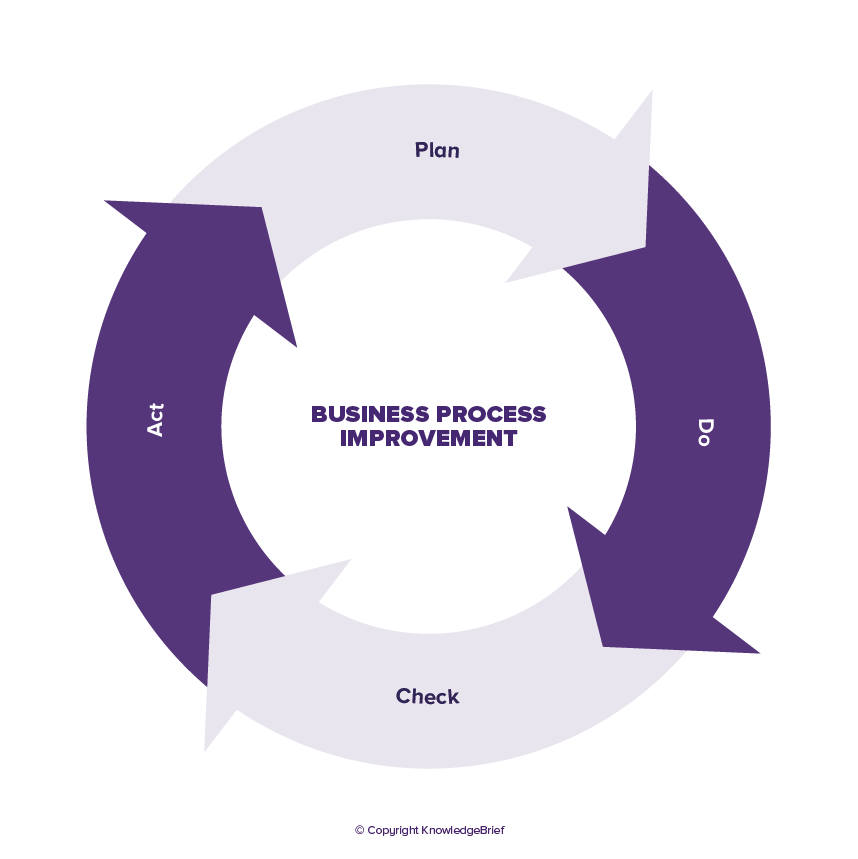 Business Process Improvement