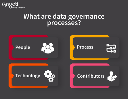 What are data governance processes?