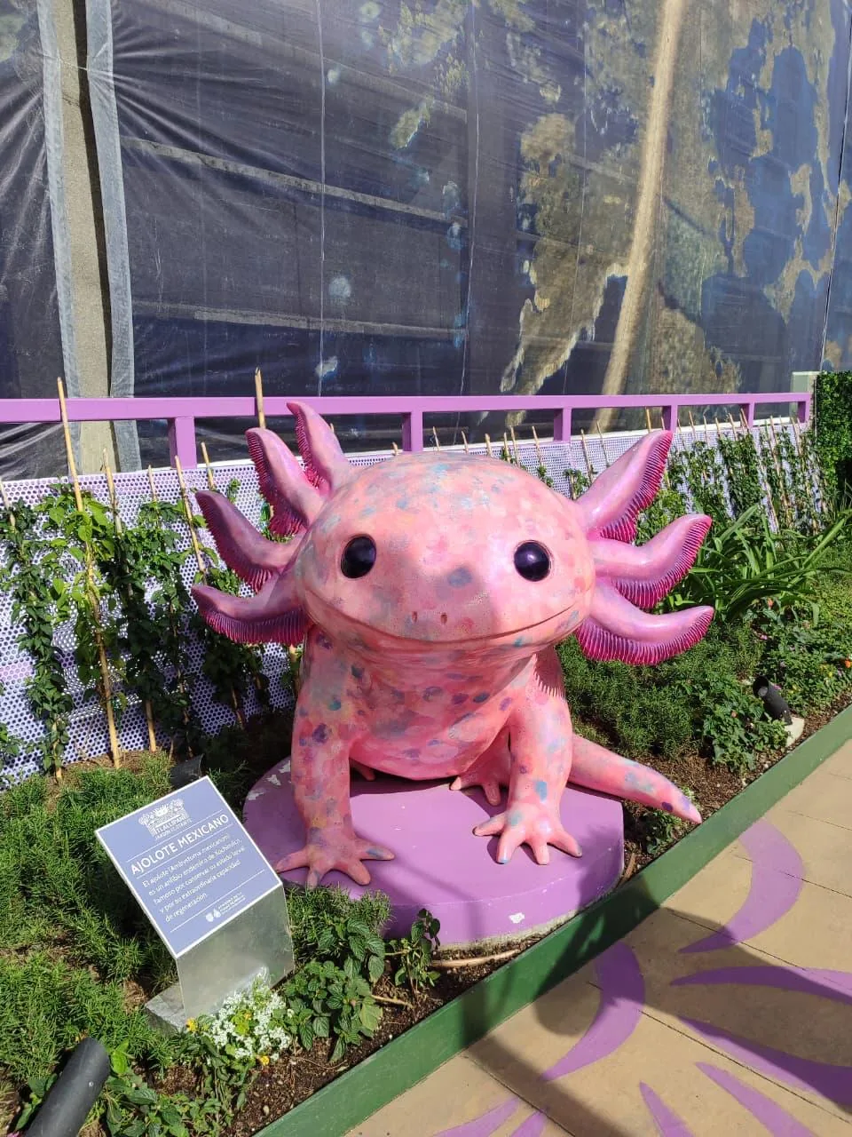 Escultura de ajolote rosa impresa en 3D instalada en jardín en Ciudad de México