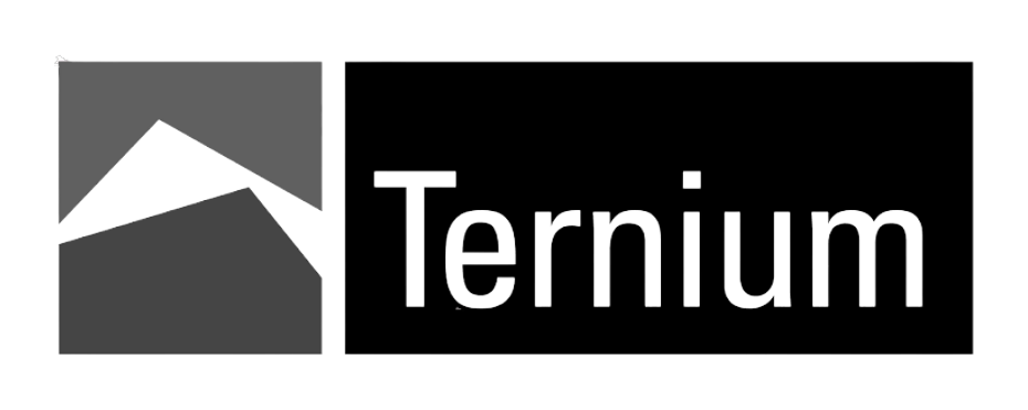 Logo de Ternium, cliente de impresión 3D de Trideo en Argentina