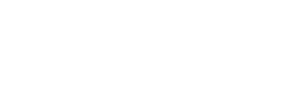 Logo Flutter 