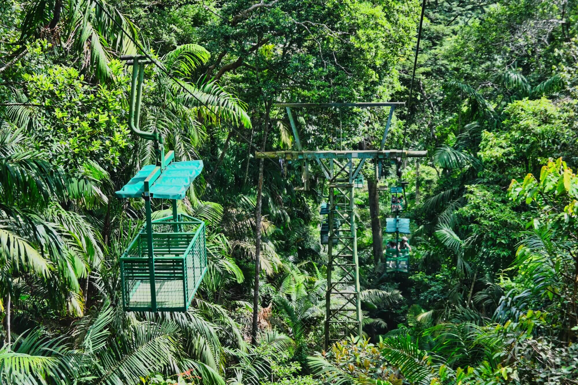 Gamboa Rainforest aerial tram traveling through dense tropical jungle in Panama.
