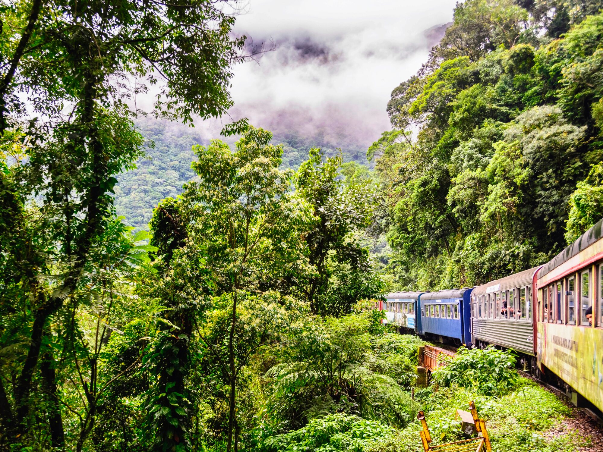 Serra Verde Express train traveling through the Atlantic Forest between Curitiba and Morretes, Brazil