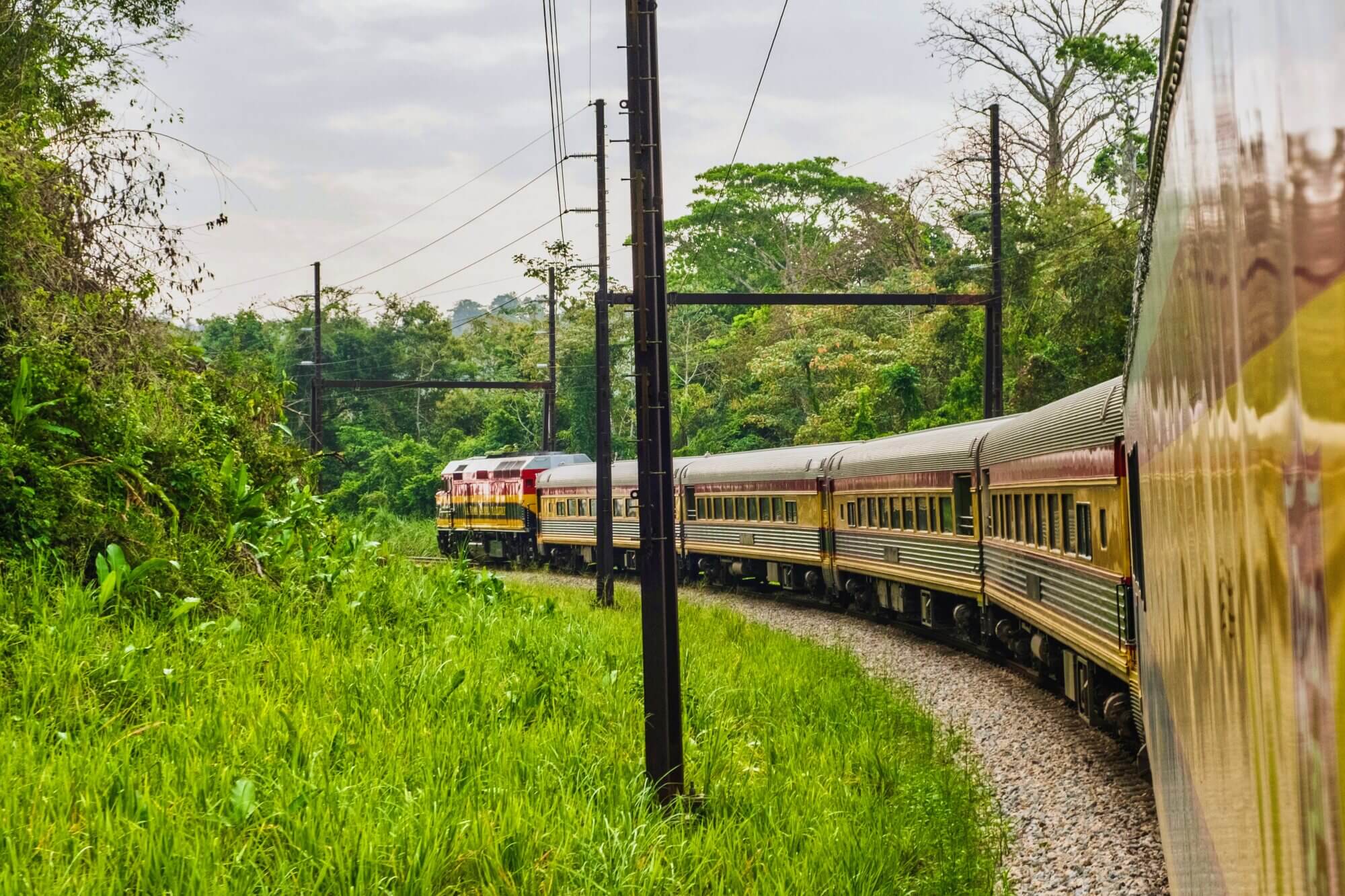 Panama Canal Railway passenger train traveling through tropical rainforest in Panama.
