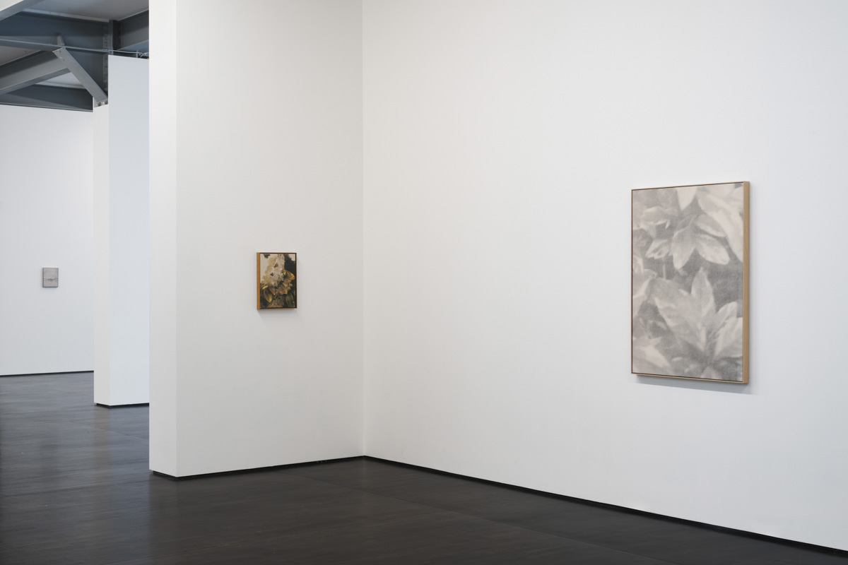 Exhibition: Distant Voices / Still Lives
