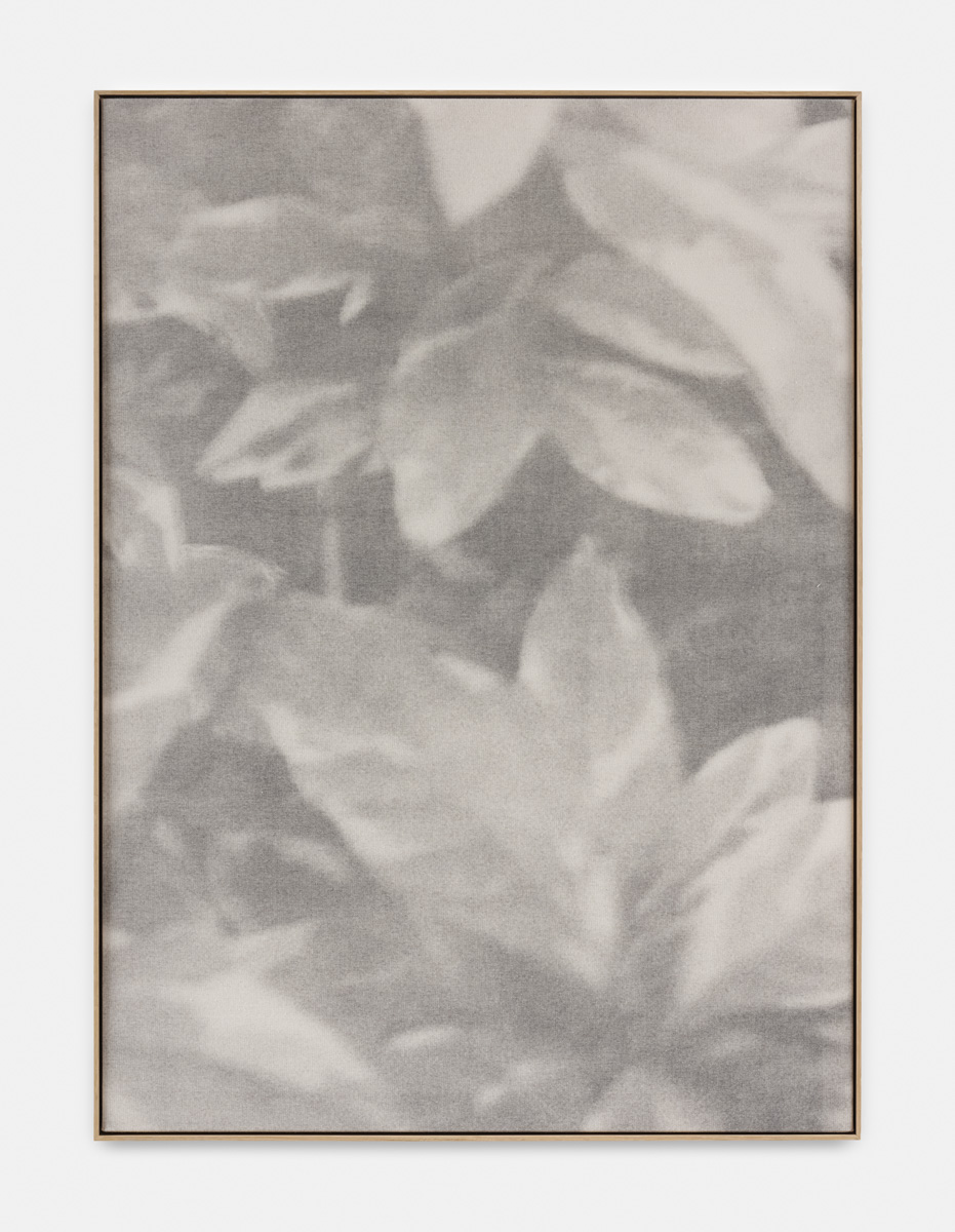 Exhibition: Distant Voices / Still Lives