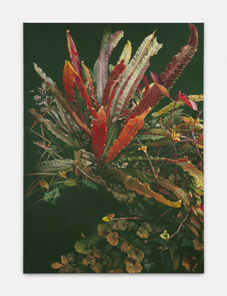 Exhibition: Distant Voices / Still Lives