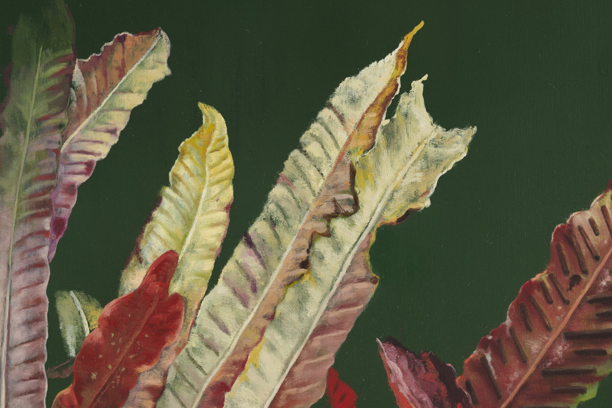 Exhibition: Distant Voices / Still Lives