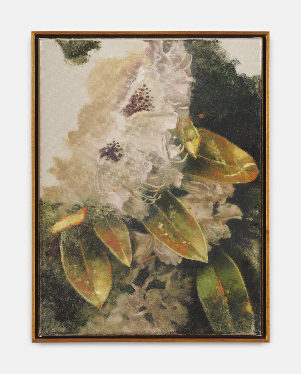 Exhibition: Distant Voices / Still Lives