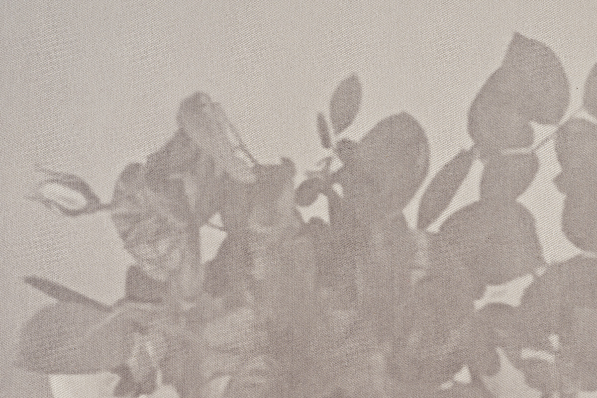 Exhibition: Distant Voices / Still Lives