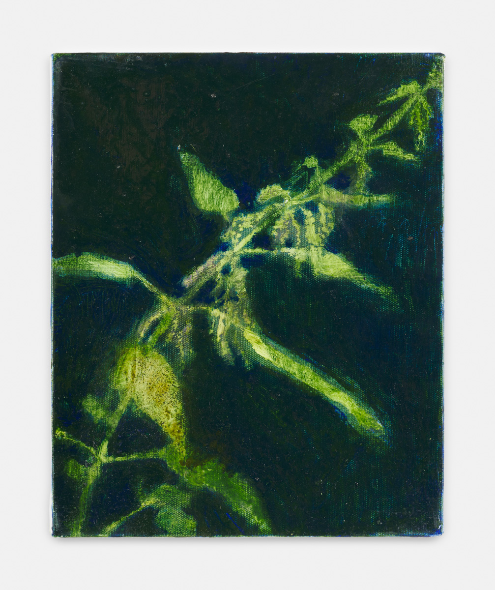 Exhibition: FLYING DREAMS