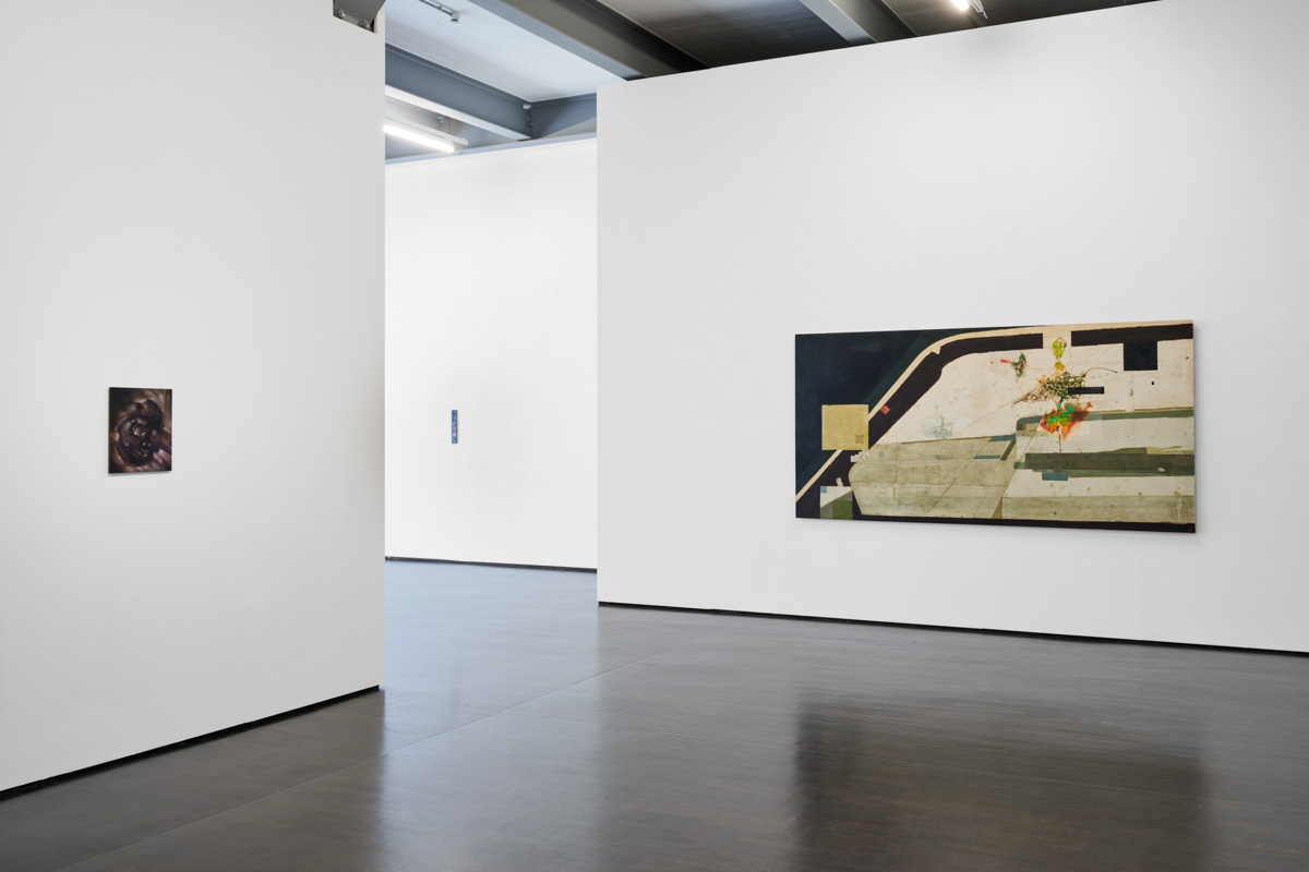 Exhibition: the eye eyes the eye