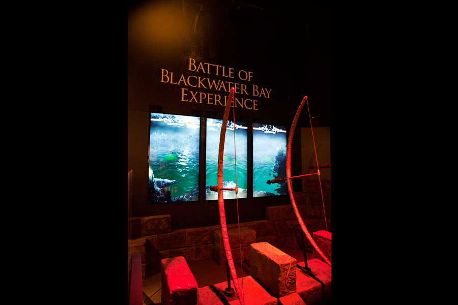 Overview of the fabricated bows and screen installation