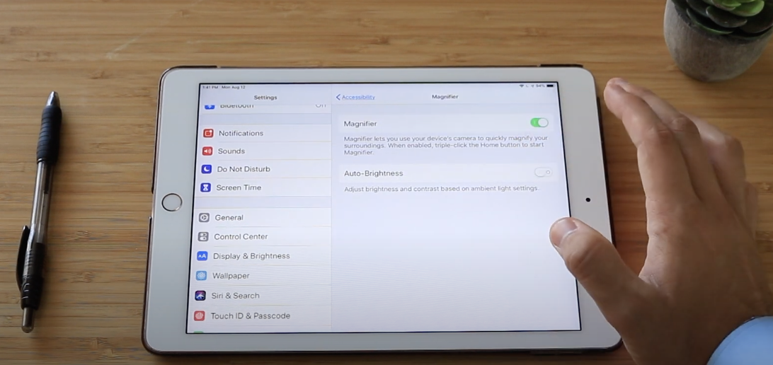 iPad magnification accessibility feature