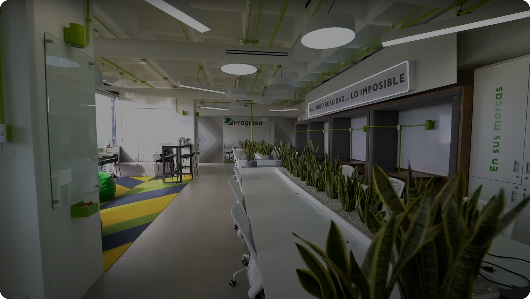Modern open office space with white desks and chairs, green plants dividing workstations, colorful carpet area, and ceiling lights with exposed pipes.