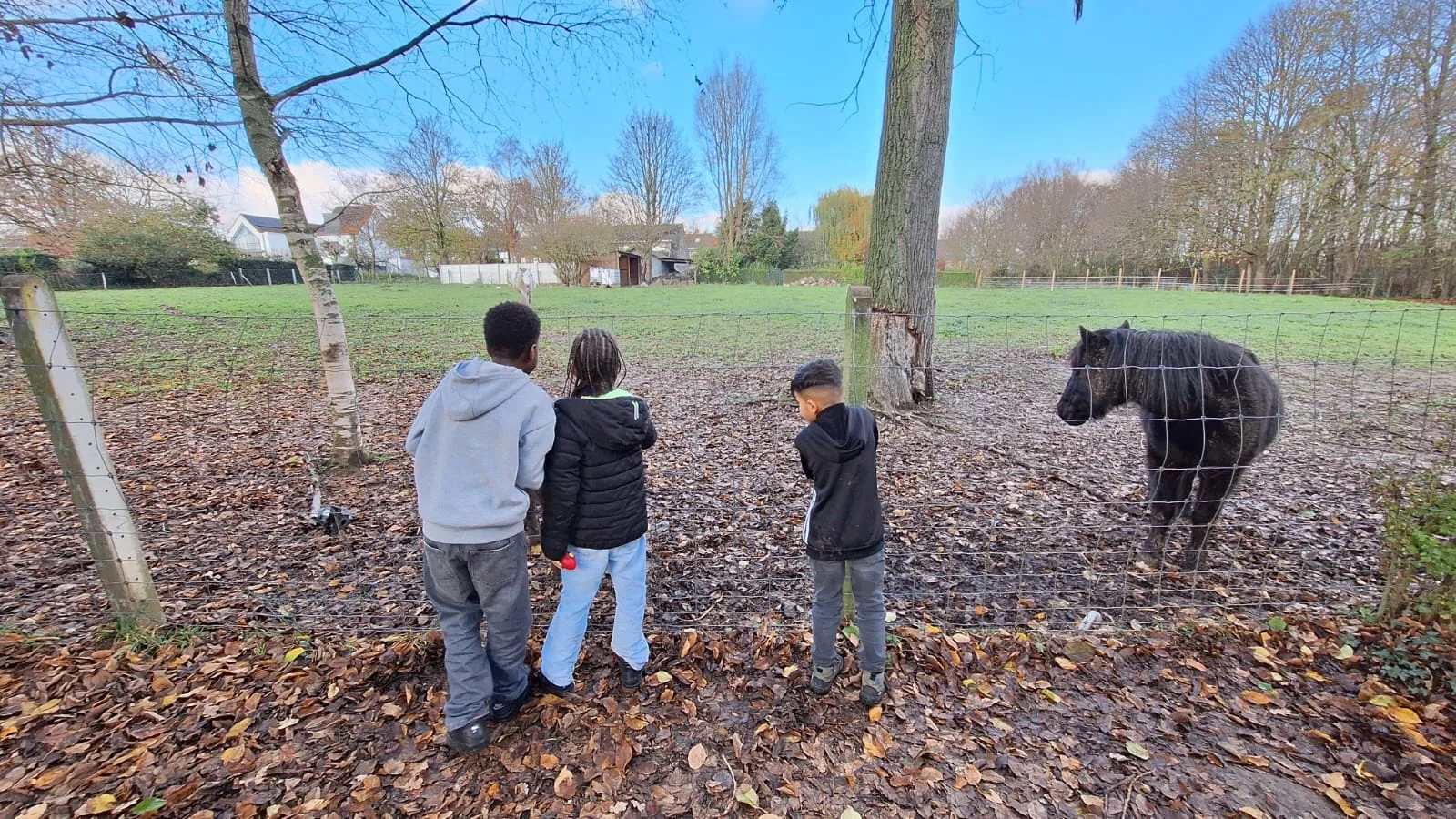 Internen bij de wei met de pony
