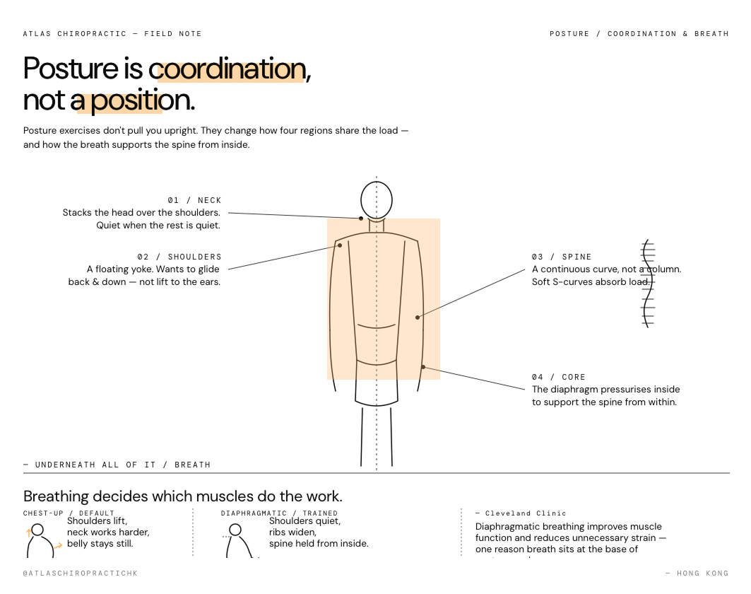 an infograph explaining if Posture Exercises Are Actually Correcting in Your Body