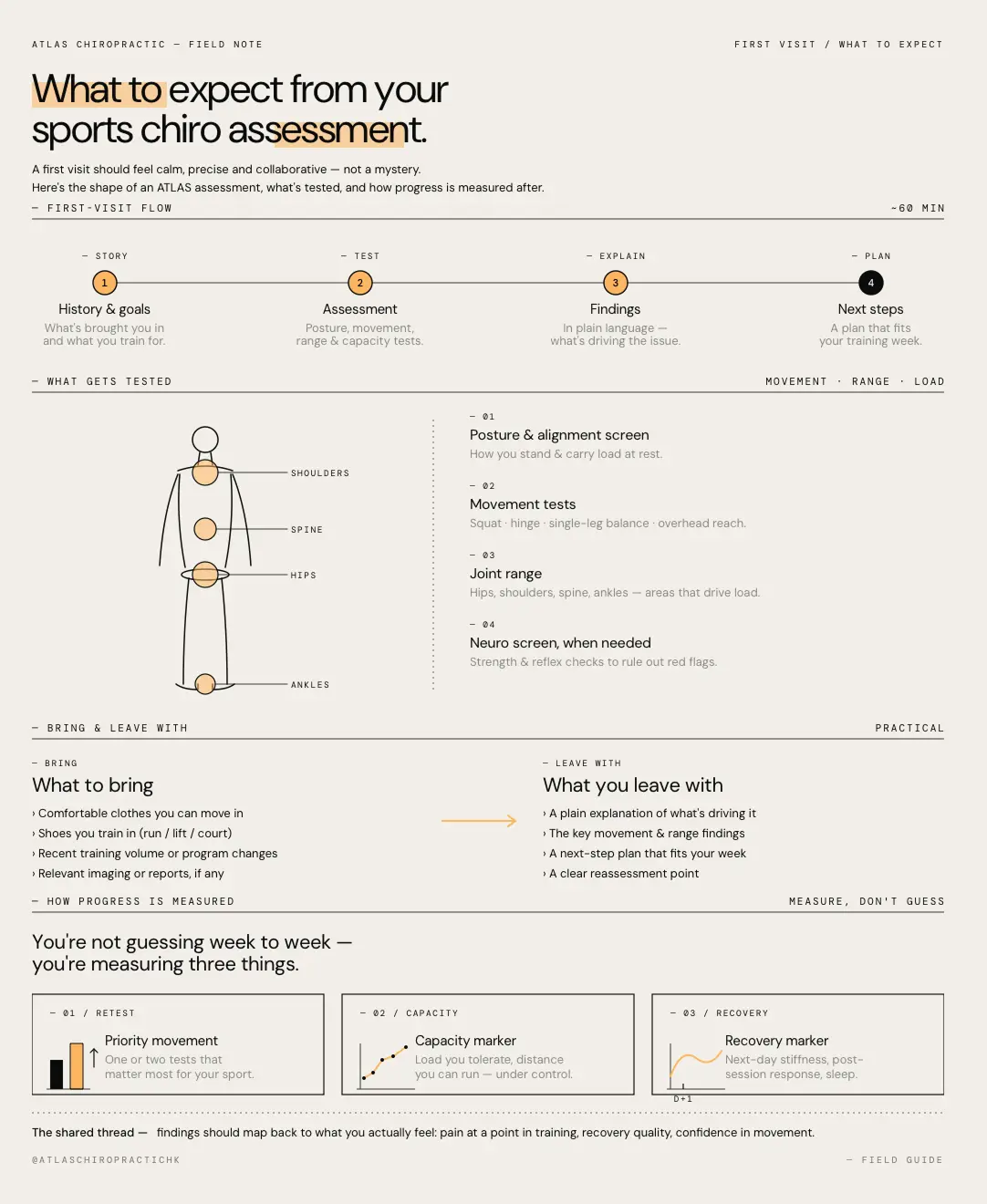 infograph explaining what to expect from your sports chiropractor