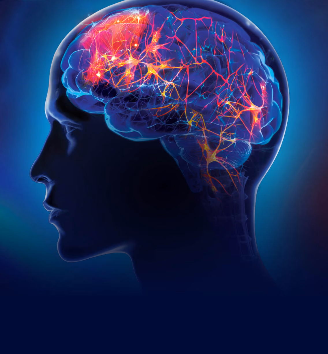 Illustration of a human brain with glowing neural pathways representing brain activity and neurological function.