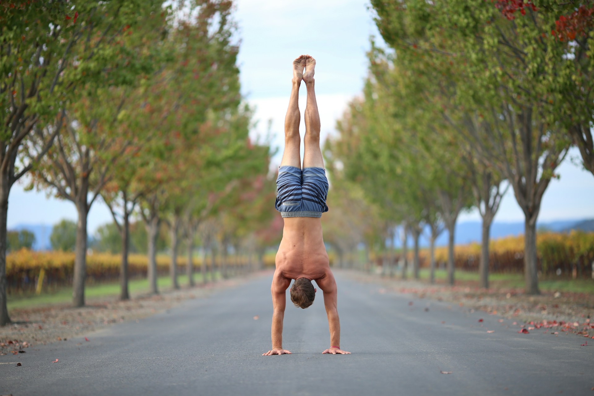a man performing a handstand on a road paved with trees