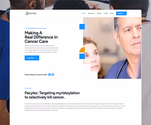 Website Project Graphic - Pacylex