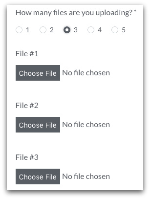 File Upload Field Conditional Logic