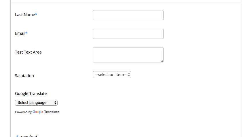 Salesforce form with Google Translate picklist button shown.