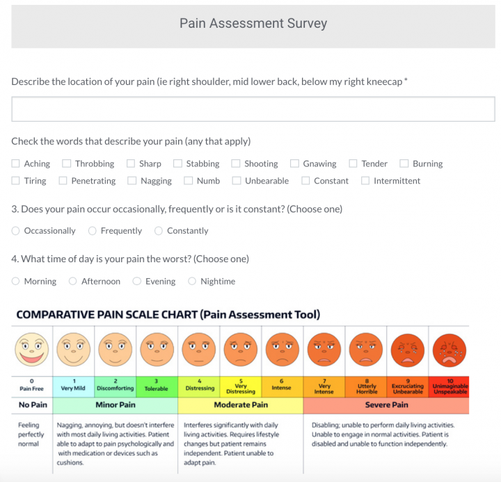 Pain Assessment Survey