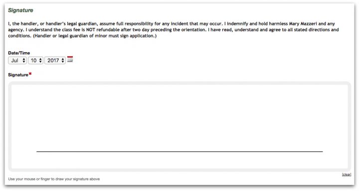 Formstack Electronic Signature Field