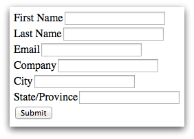 Salesforce Web-to-Lead Form