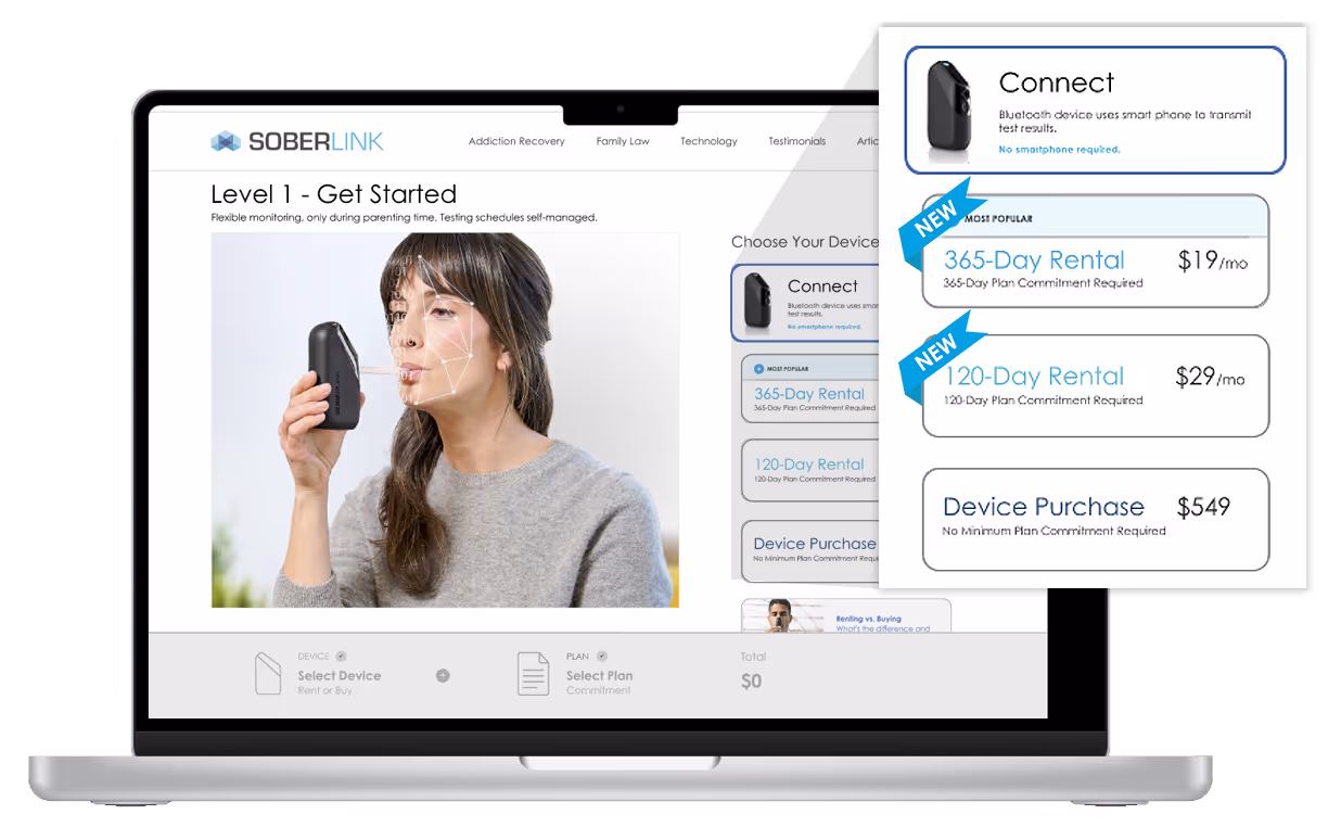 Desktop with Soberlink's decision tree on the screen