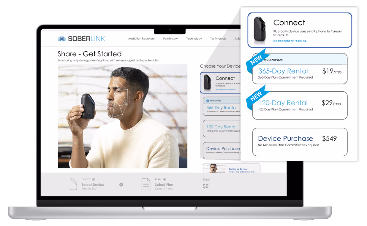 Desktop with Soberlink's decision tree on the screen
