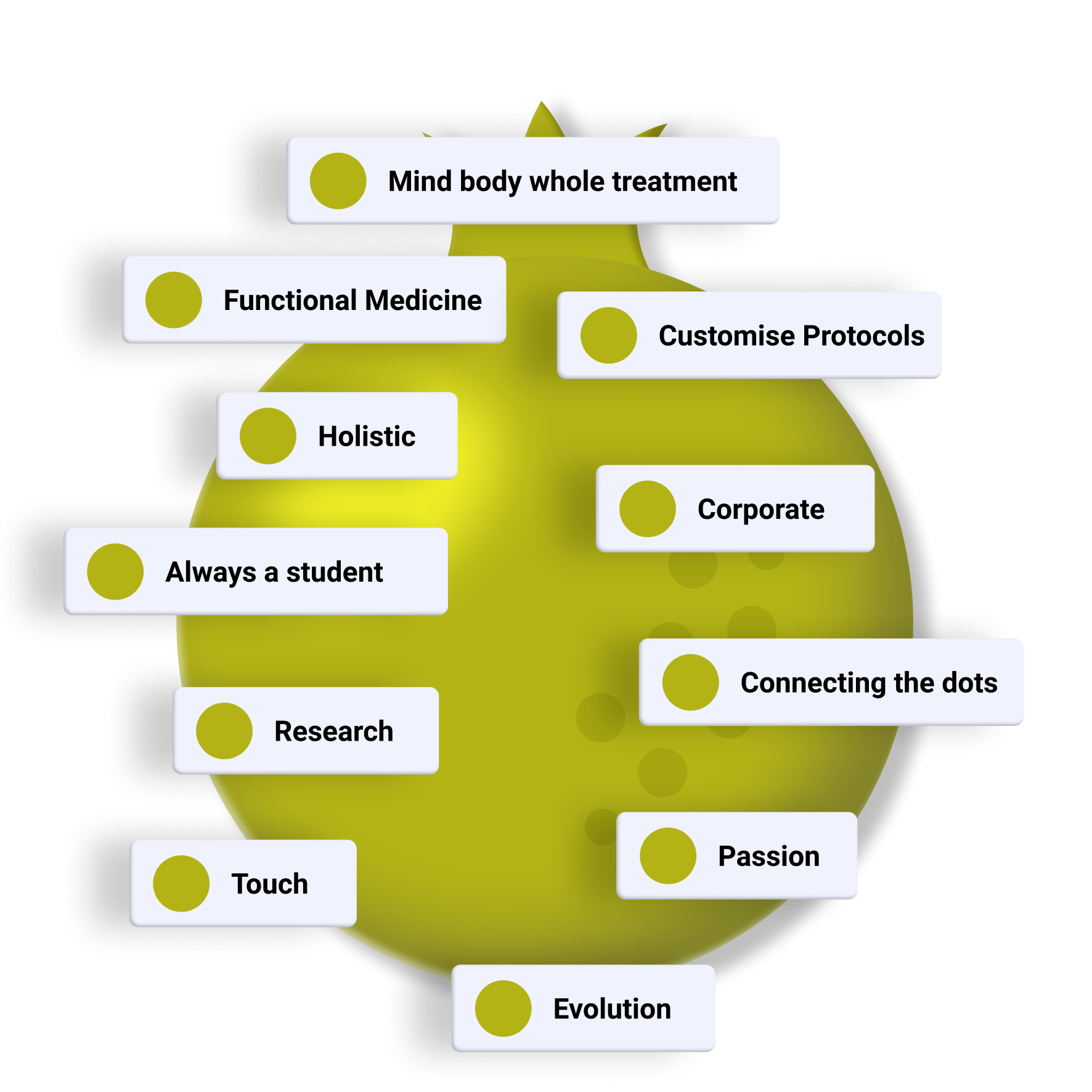 Green abstract circular shape with white text boxes around it listing phrases: Mind body whole treatment, Functional Medicine, Customise Protocols, Holistic, Corporate, Always a student, Connecting the dots, Research, Passion, Touch, Evolution.