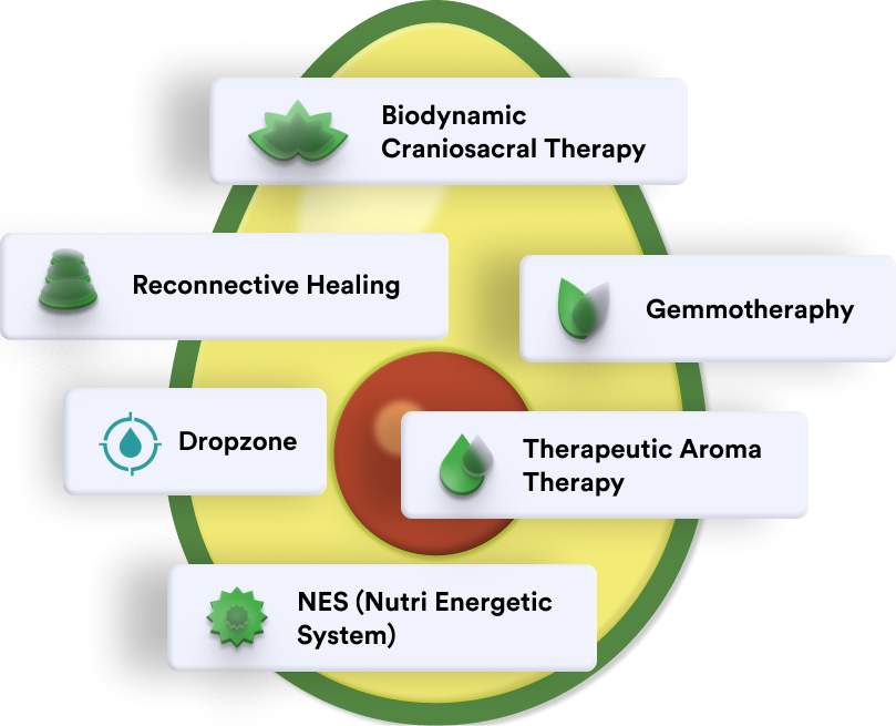 Diagram of an avocado shape with a brown pit in the center, surrounded by labels for holistic therapies: Biodynamic Craniosacral Therapy, Reconnective Healing, Gemmotheraphy, Dropzone, Therapeutic Aroma Therapy, and NES (Nutri Energetic System).