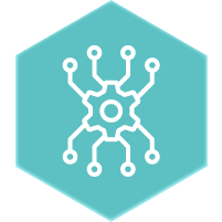 Rabbithole Algorithm icon