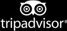 Trip Advisor Logo