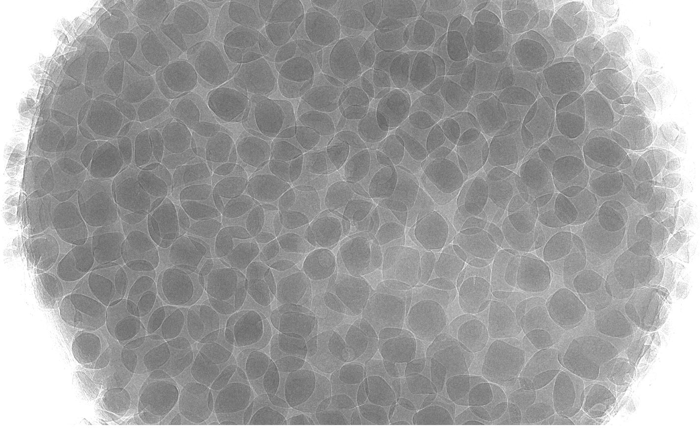 Phase-contrast image of a licorice candy