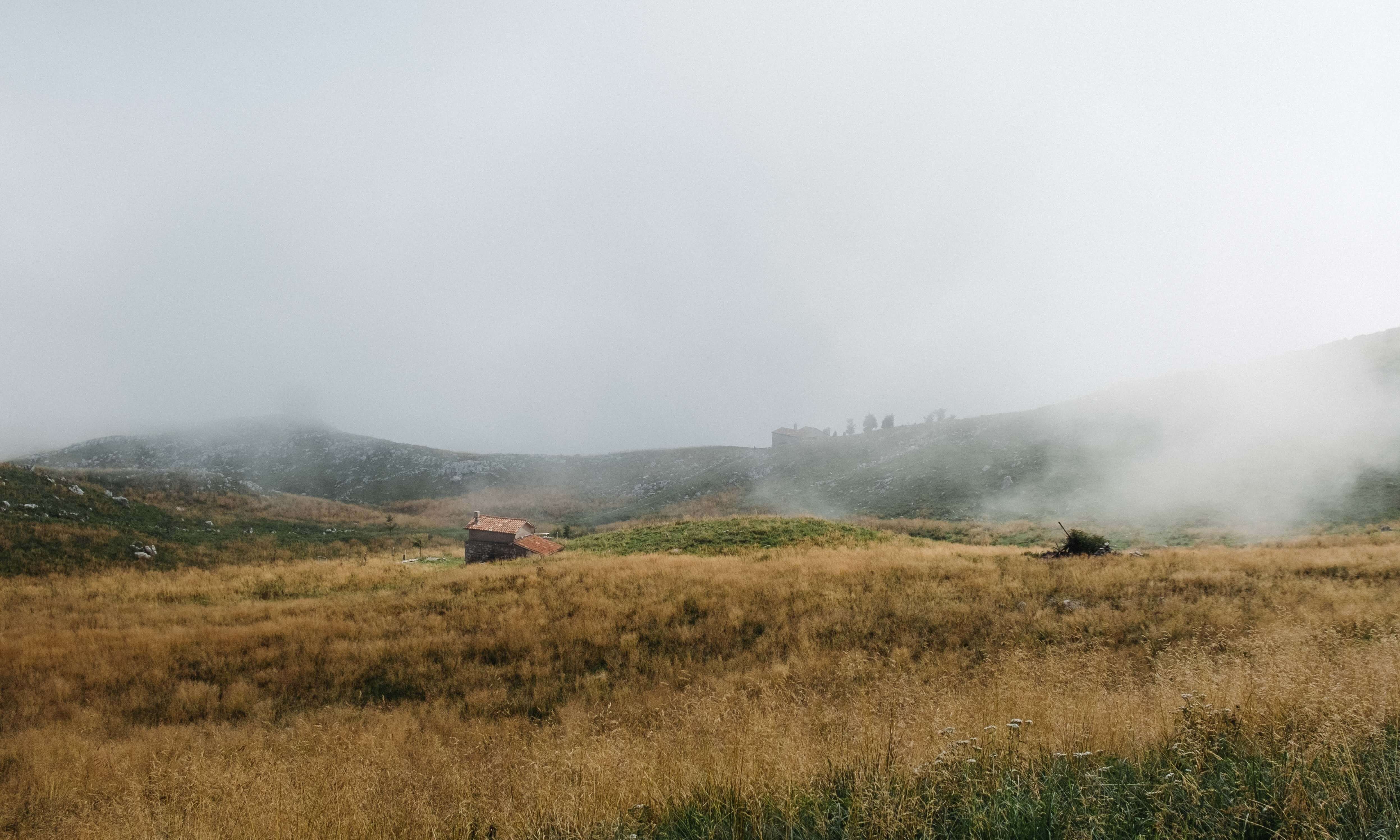 Featured Image for Paraphrasis Post