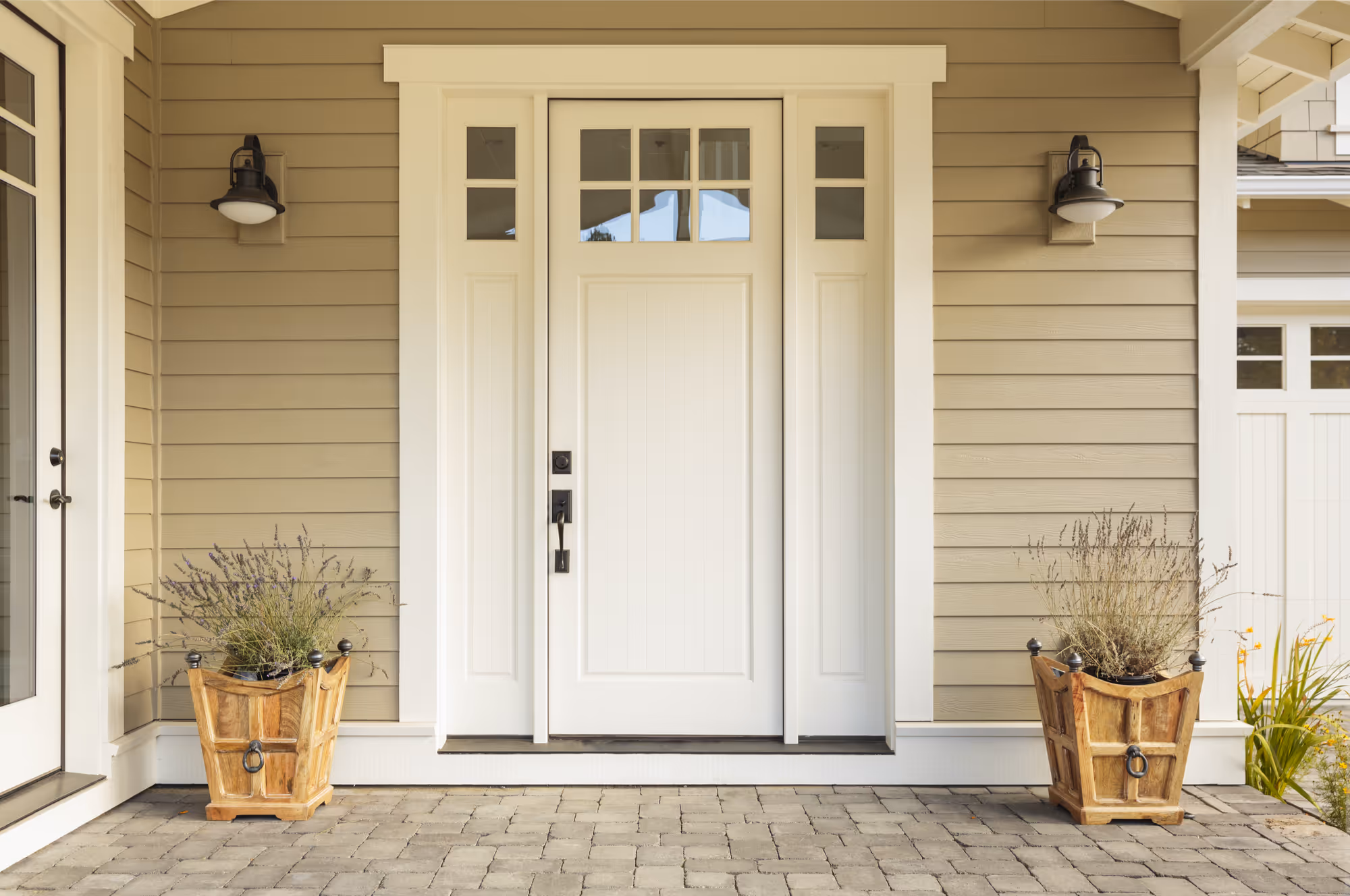 Modern front door with plants.