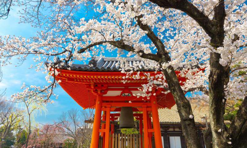 Japan: crafted for the culturally curious