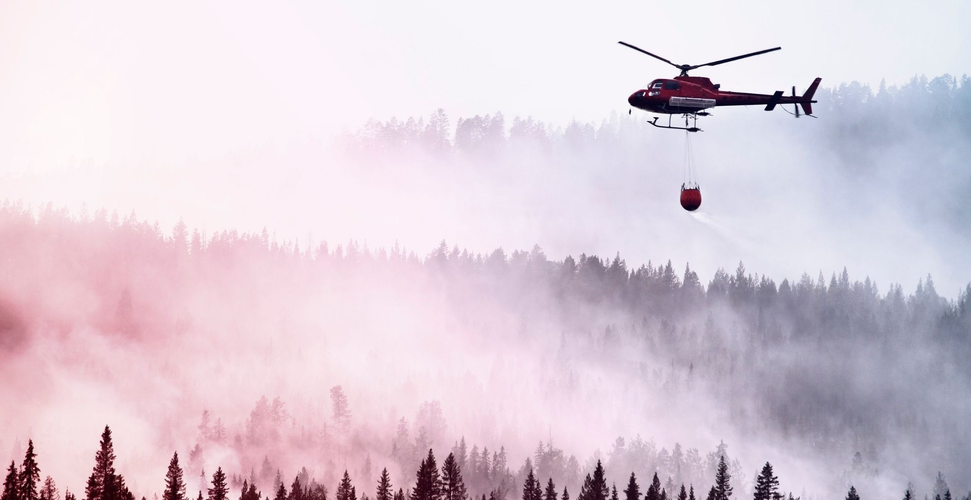 Blushelikopter die bosbrand aan het blussen is