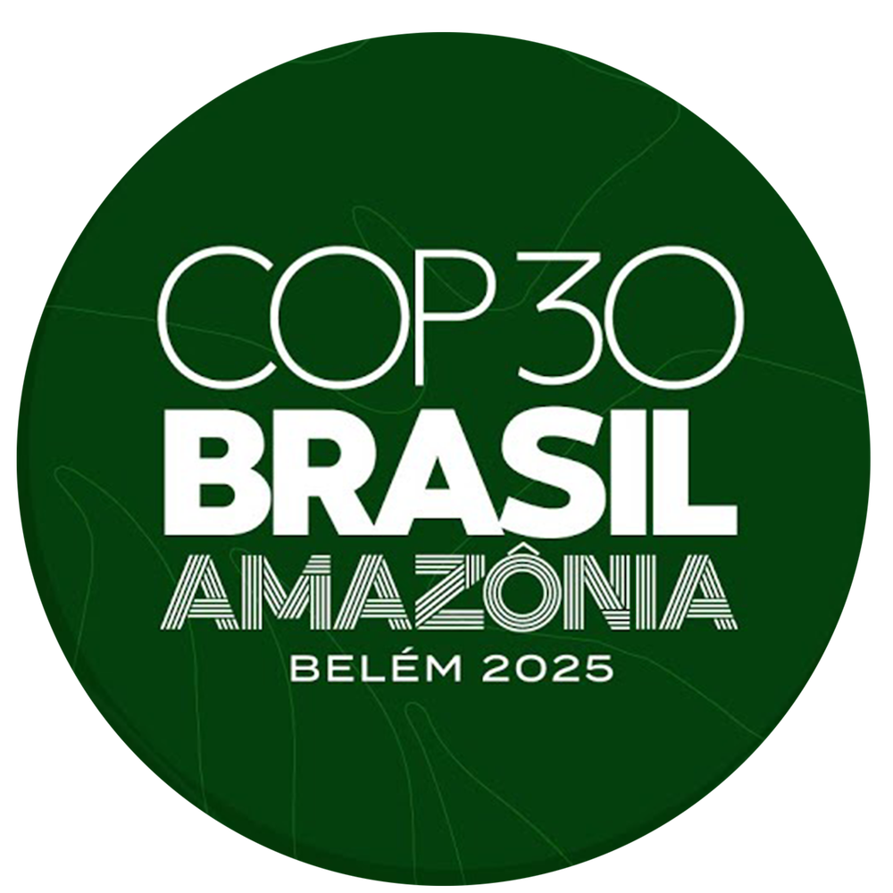 COP30 logo
