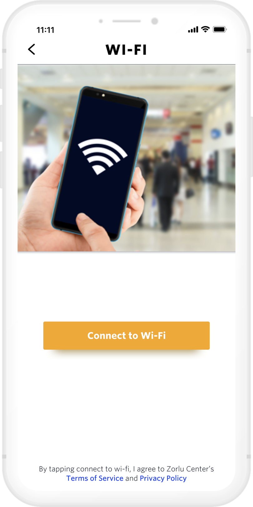 Connect to Wi-Fi Screen