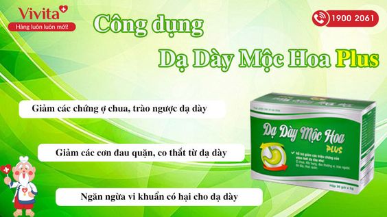 [CUỐI CÙNG CŨNG BIẾT] Dạ Dày Mộc Hoa Plus Có Lừa Đảo Không?