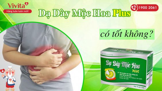 [HÉ LỘ] Dạ Dày Mộc Hoa Plus Có Tốt Không? Mua Ở Đâu Chính Hãng?
